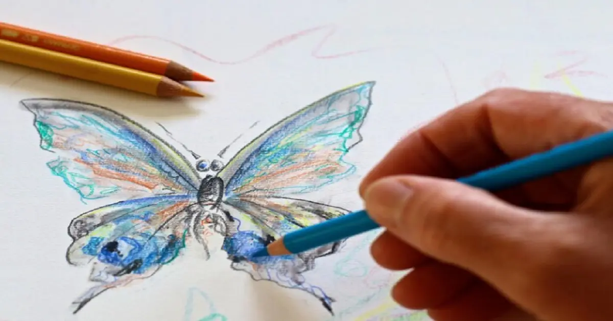 drawing:g0stygfoby4= butterfly
