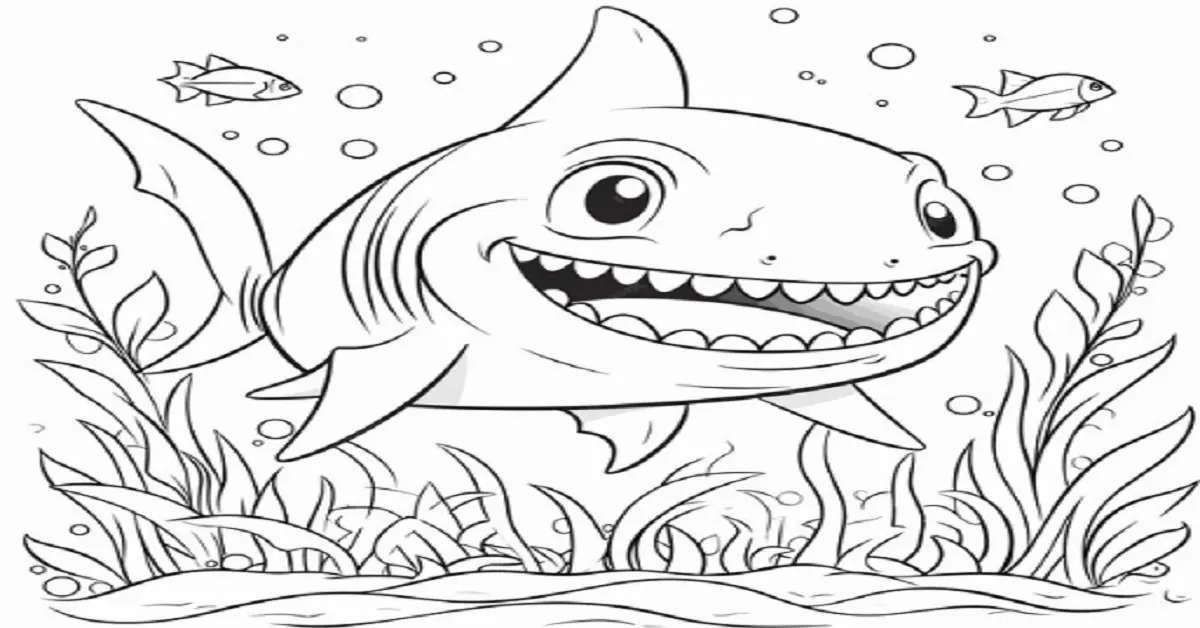 cute:s4nremv56q0= shark drawing